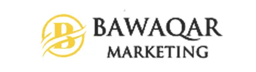Digital Marketing 11 Bawaqar Marketing