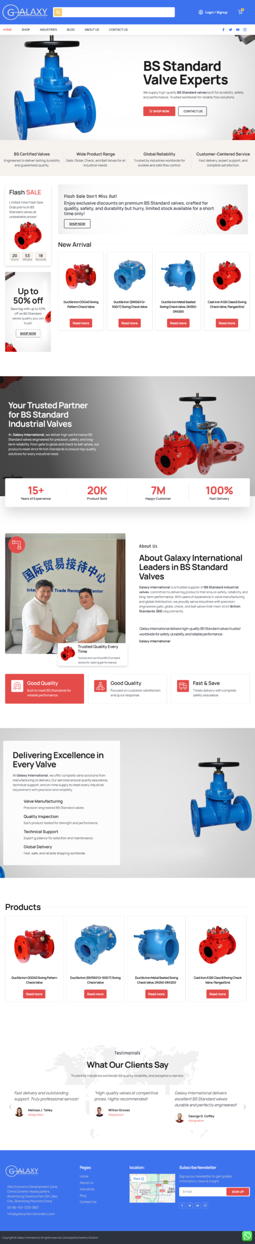 Wordpress Development 17 screencapture galaxyvalves pipes 2026 06 23 15 54 40 scaled